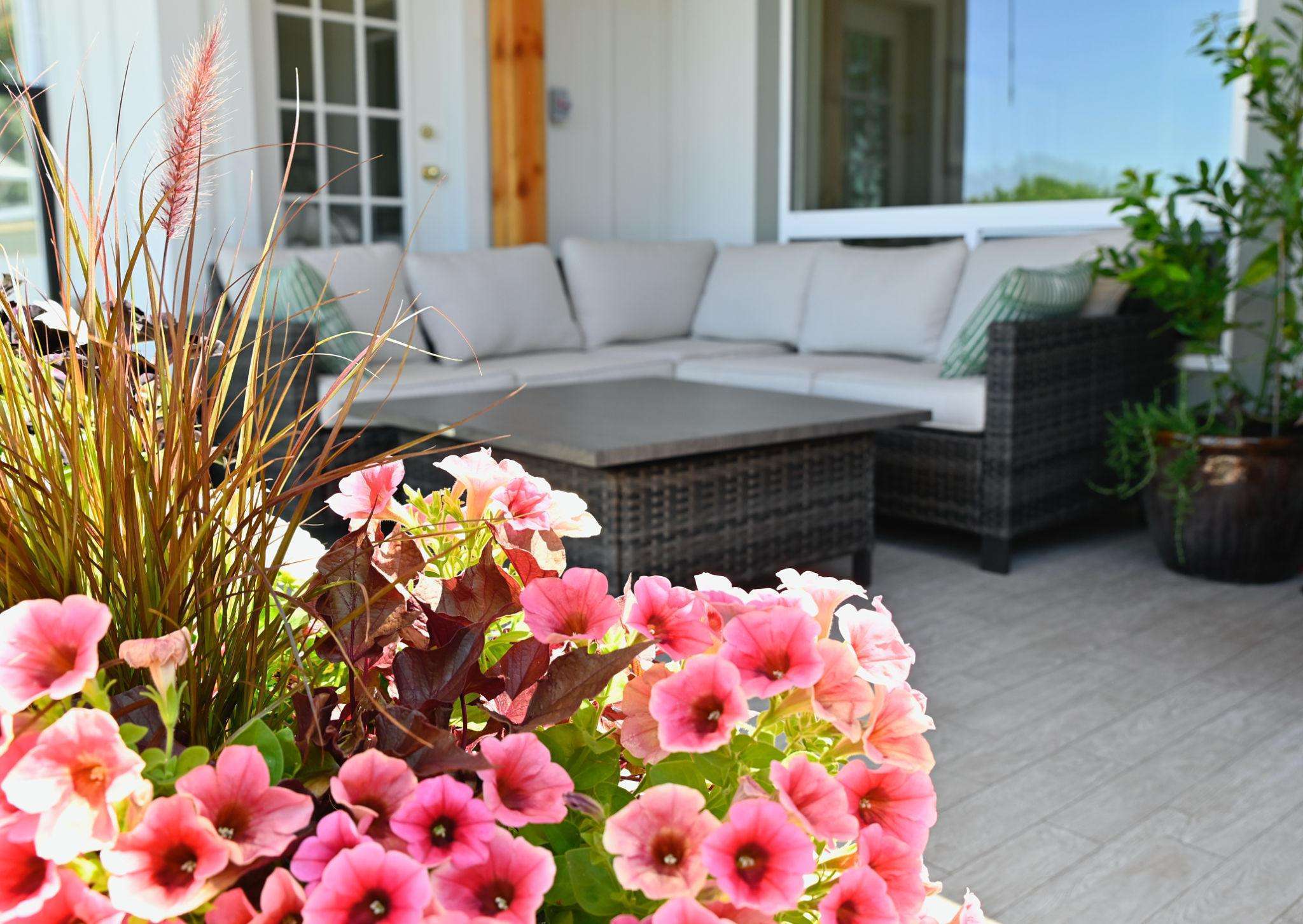 Finished outdoor renovation ready for summer